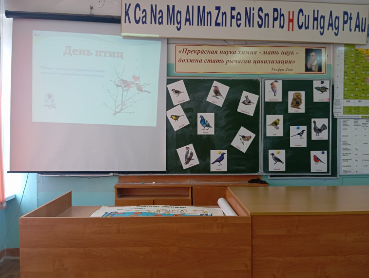 День птиц.